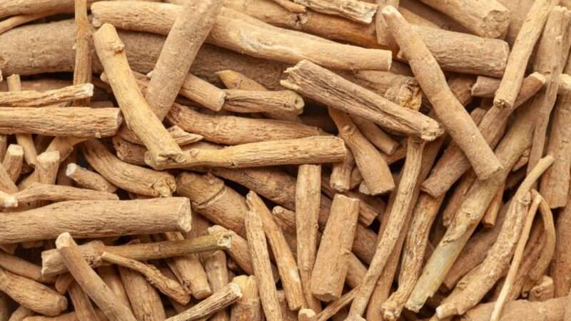 L&rsquo;ashwagandha au service de votre équilibre physique et mental