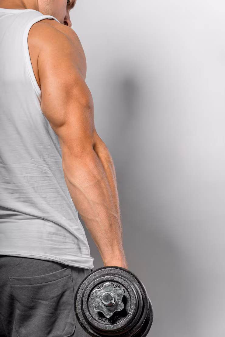 Veines apparentes sur le bras d’un sportif après musculation