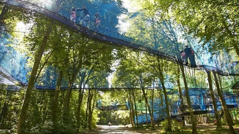 Que faire dans les Hauts-de-France ce week-end ? Un parcours aventure en pleine forêt