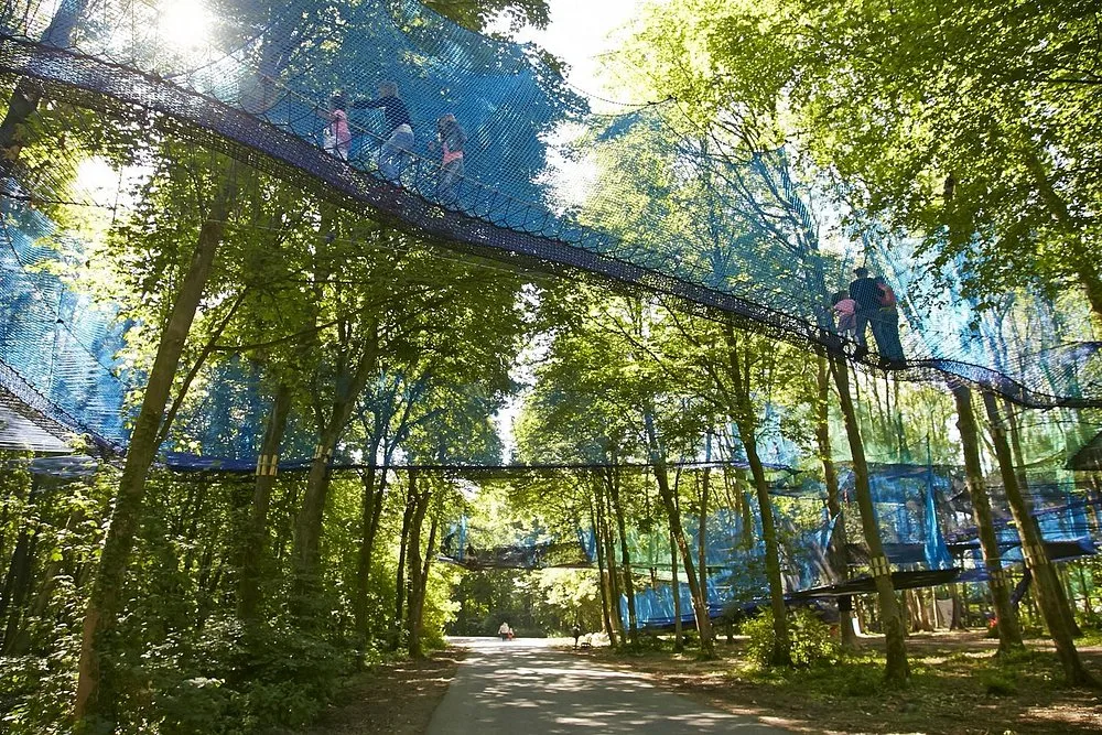 Que faire dans les Hauts-de-France ce week-end ? Un parcours aventure en pleine forêt